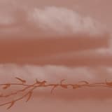 Leveled Ground, Bottomless Pit