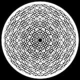 We Are In Your Bassment