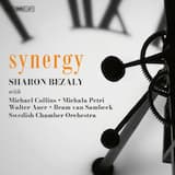 Concerto for Recorder & Flute in E Minor, TWV 52:e1:I. Largo