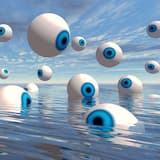 Insects, Part II: Metamorphosis