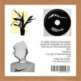 葉蘭を窓辺に飾れ