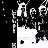 SVFR (Underground Version)