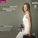 Quintet in B minor, op. 115: III. Andantino – Presto non assai, ma con sentimento