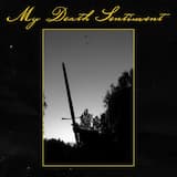 A Wizards Dreams and Wisdom