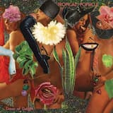 Universe of God Shadow