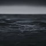 The Roots of: The Blackened Sea