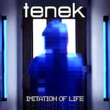 Imitation of Life (Pale Imitation remix)