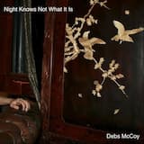 Night Knows Not What It Is (phone recording)