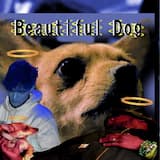 Comes From The Heart feat. Red Note