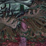 creepin' on the stones of love