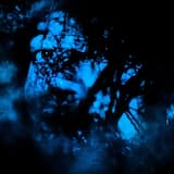 Life Is / Blurred Lines/