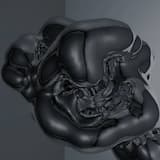 Tardigradian Axis (rare sp)