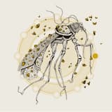 Rain Will Be the New Gold