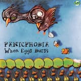 About Stones and Gravity