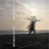 Mojave Interlude Part II