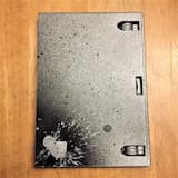 Negative Charged Muon (Lifetime of 2.19703 × 10−6 Seconds) Courting A Negative Charged Pion (Lifetime of 2.6030 × 10−8 Seconds)