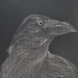 Arms to Work Legs to Run