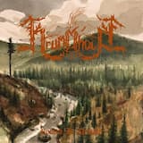 A Morning in the Autumn Forest