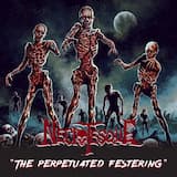 Geriatric Cranium Crusher