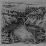 Zurück in die Nacht