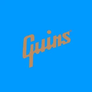 エレクトリックギュインズ avatar