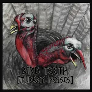 Bird Teeth avatar
