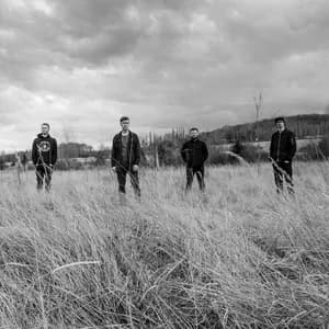 All We Expected avatar