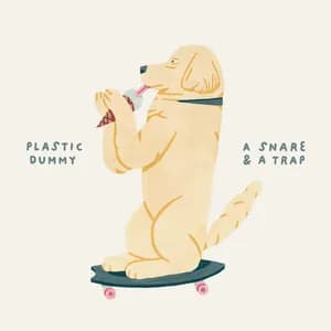 Plastic Dummy avatar