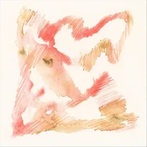 Matt Bachmann avatar