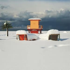 Fly Harry Fly avatar