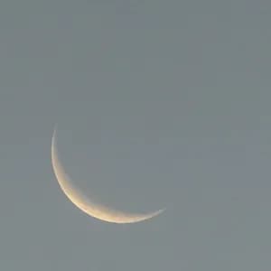 Sleepermane avatar