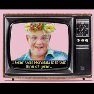 The Donald Trumpets avatar