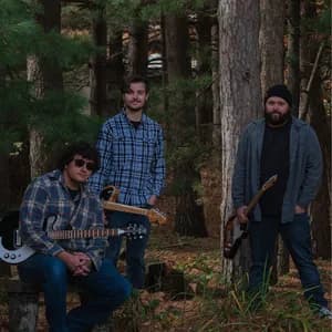 The Stepmothers avatar