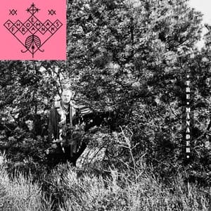 Thomas E Frank avatar