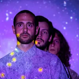 Plastic Woods avatar