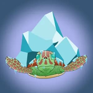 Frozen Turtle avatar