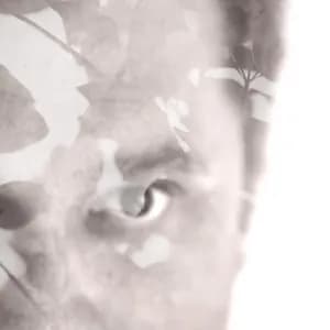 Christopher Bissonnette avatar