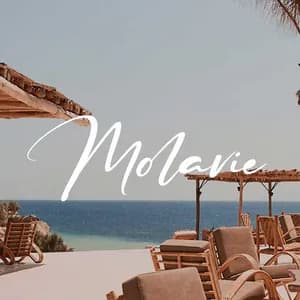 Molavie avatar