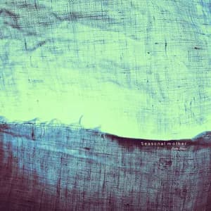 Emilia Branco avatar