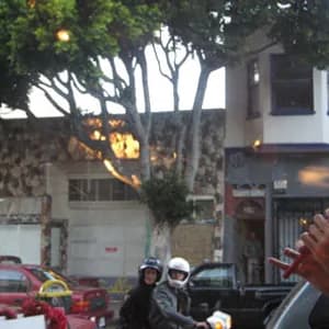 Lucky Dragons avatar