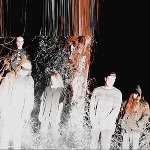 Infant Island avatar