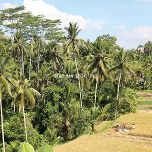 Stad Van Licht avatar