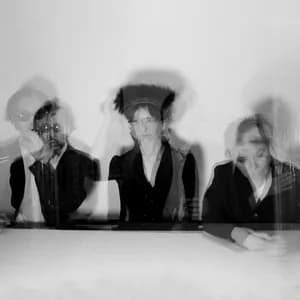 Vanishing Twin avatar