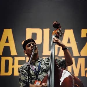 La Plaza del Puma avatar