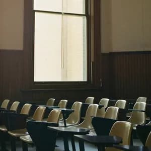 Sparrow & Bird avatar