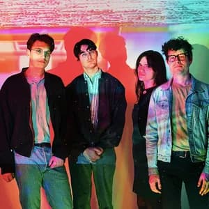 Body of Leaves avatar