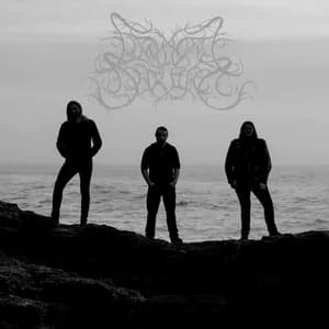 Liminal Shroud avatar