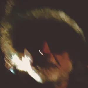 The Minus 5 avatar