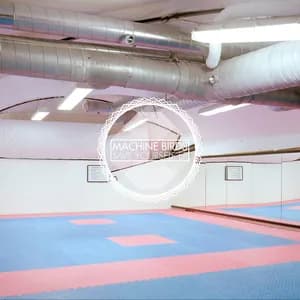 Machine Birds avatar