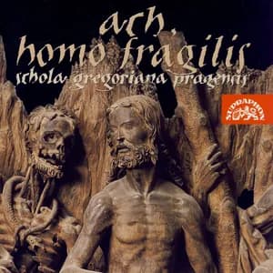 Petrus de Grudencz avatar